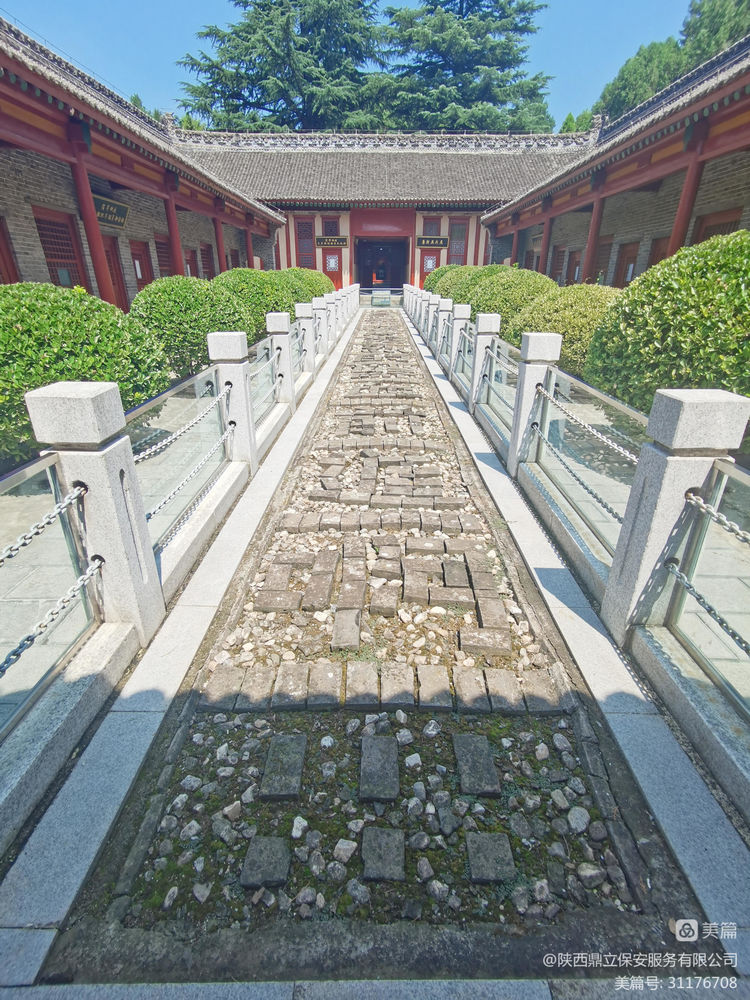 1690968108187.jpg 10.jpg